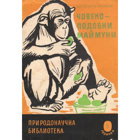 Човекоподобни маймуни