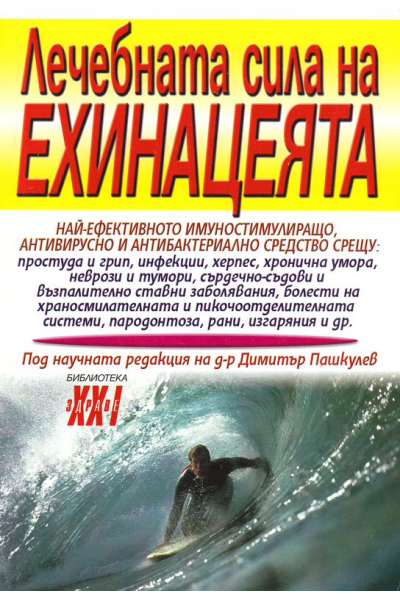 Лечебната сила на ехинацеята