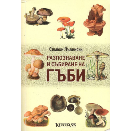 Разпознаване и събиране на гъби
