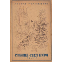 Слънце след буря