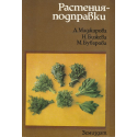 Растения - подправки