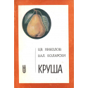 Круша