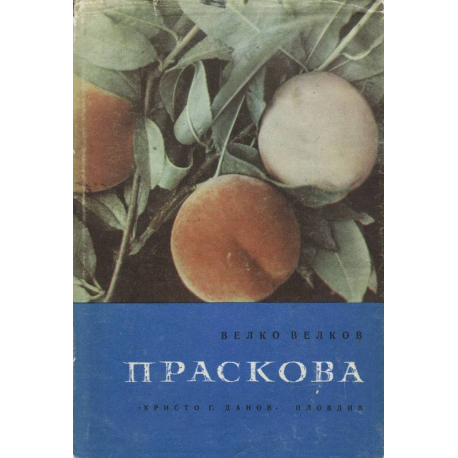 Праскова