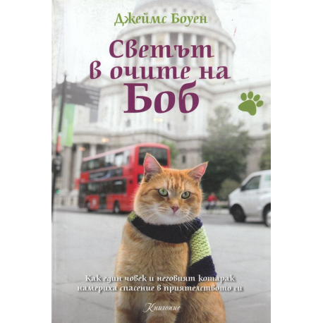 Светът в очите на Боб