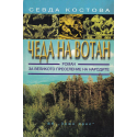 Чеда на Вотан